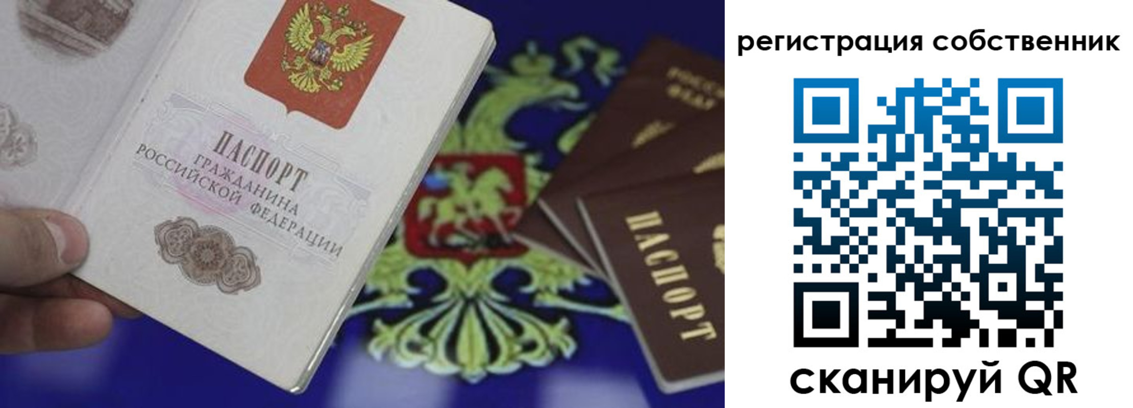 временная регистрация надежно в Полярных Зорях